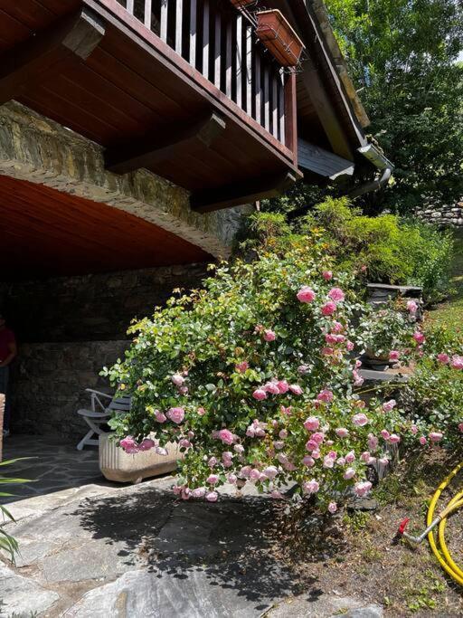 Chalet Cheverel Remondey Exteriör bild